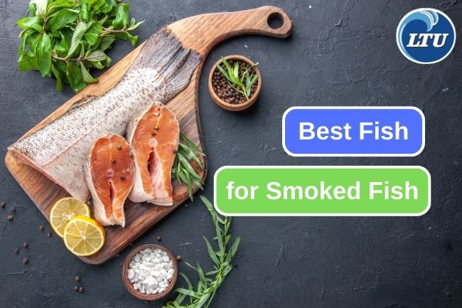 The Right Fish to Make Smoked Fish